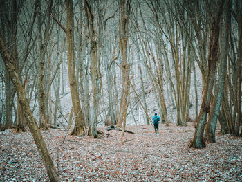 Rear view of man walking in forest