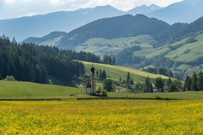 Scenic view of field against mountains