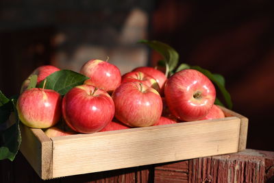 Close-up of apples in basket