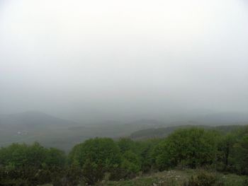 Trees on landscape against sky