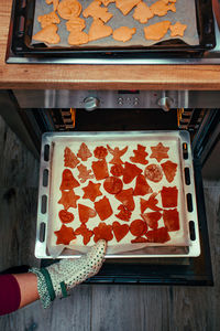 High angle view of woman keeping baking sheet in oven