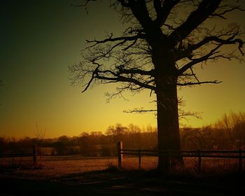 Silhouette tree against sky during sunset