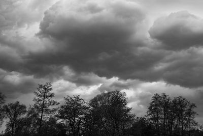 Low angle view of trees against cloudy sky