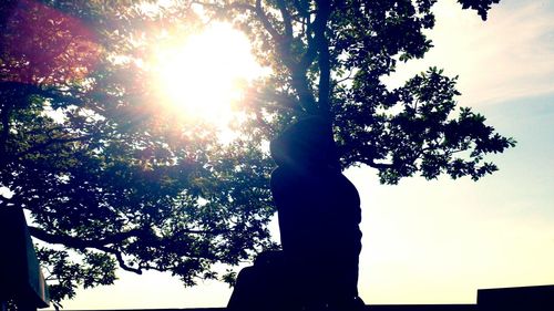 Low angle view of silhouette tree against sun