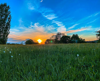 Scenic view of field against sky during sunset