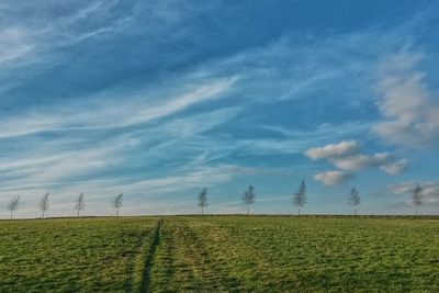 Scenic view of grassy field against cloudy sky