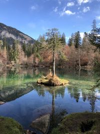 Scenic view of lake in forest against sky