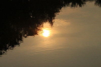 Reflection of trees in water at sunset