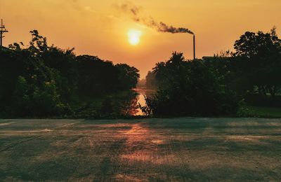 Trees and plants against sky during sunset