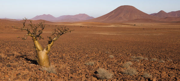 Scenic view of desert against sky