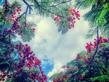 Low angle view of pink flowers