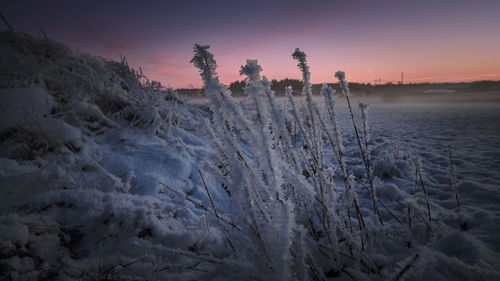 Scenic view of snow covered land during sunset