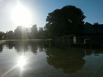 Reflection of trees in calm lake