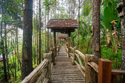 Wooden footbridge amidst trees in forest