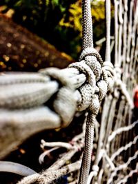 Close-up of sculpture