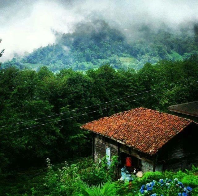 Giresun bulancak