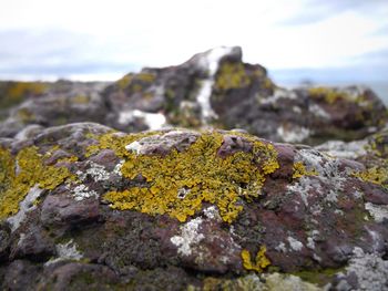 Close-up of rock formation