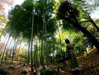 Woman sitting on bench in forest