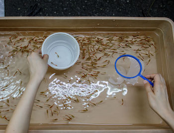 Cropped hand of woman collecting fishes in container