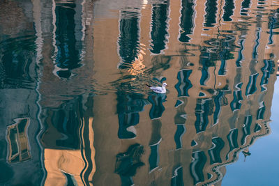 Detail shot of swimming pool