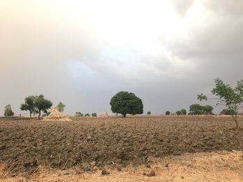 Panoramic view of agricultural field against sky