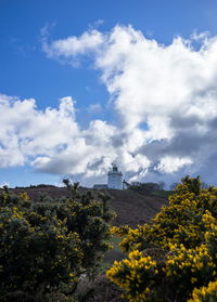 View of trees on landscape against cloudy sky