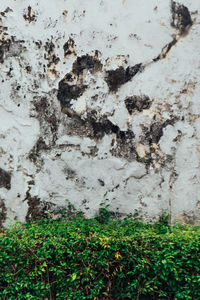 Full frame shot of concrete wall