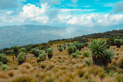 Scenic view of valley against sky at aberdare national park,