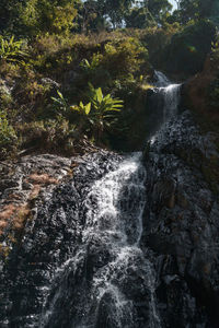 Water flowing through rocks in forest