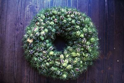 Directly above shot of flowering plants on table