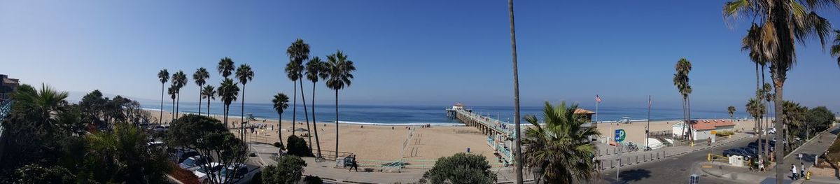 Panoramic view of palm trees and sea against sky