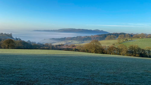 Scenic view of landscape against blue sky