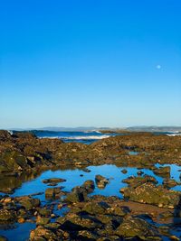 Scenic view of sea against clear blue sky