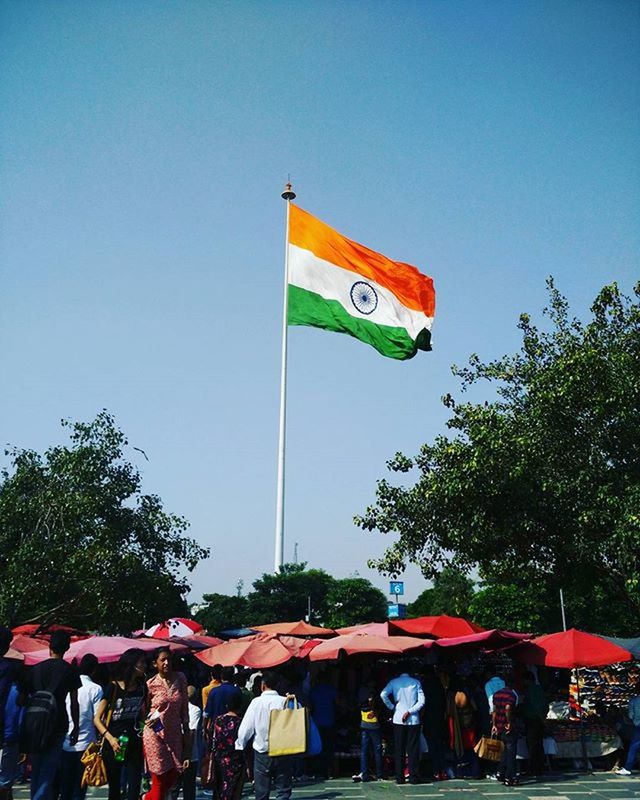 clear sky, flag, blue, low angle view, tree, patriotism, national flag, identity, copy space, large group of people, sky, men, day, multi colored, outdoors, sunlight, hanging, red, variation