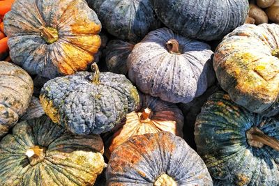 Full frame shot of pumpkins at market