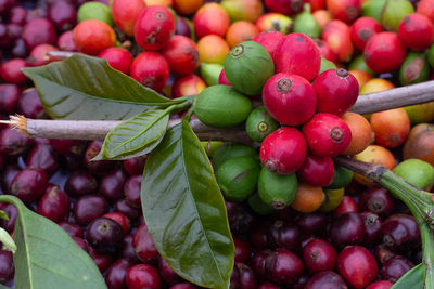 Full frame shot of strawberries