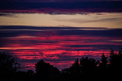 Silhouette of trees at dusk