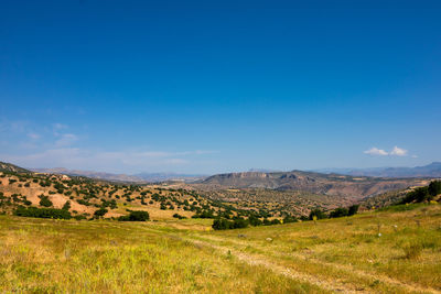 Scenic view of landscape against blue sky