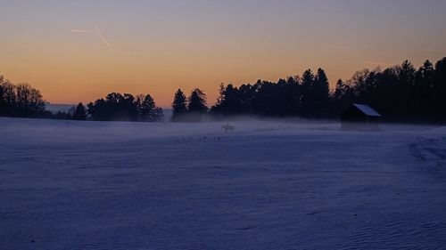 Snow covered trees against sky during sunset