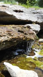 Scenic view of waterfall