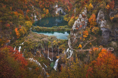 Scenic view of waterfall in forest