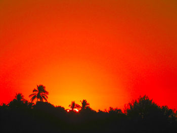 Silhouette trees against orange sky