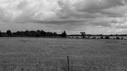 black and white