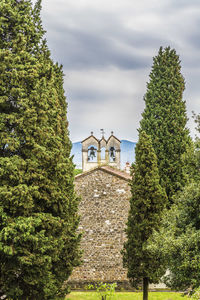 Trees and building against sky