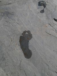 High angle view of puddle on street