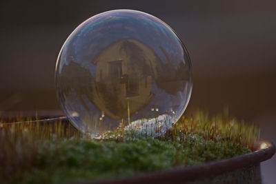 Close-up of crystal ball on glass