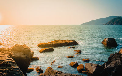 Scenic view of sea against clear sky