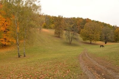 Scenic view of landscape against sky during autumn