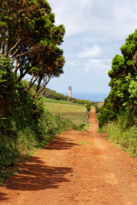 Dirt road amidst trees against sky