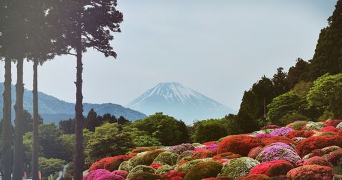 Scenic view of mountain against sky